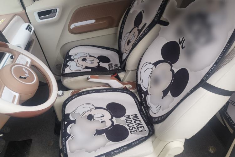 Used Wuling Hongguang MINIEV 2024 3rd Generation 215km Youth Edition Left Front Seat