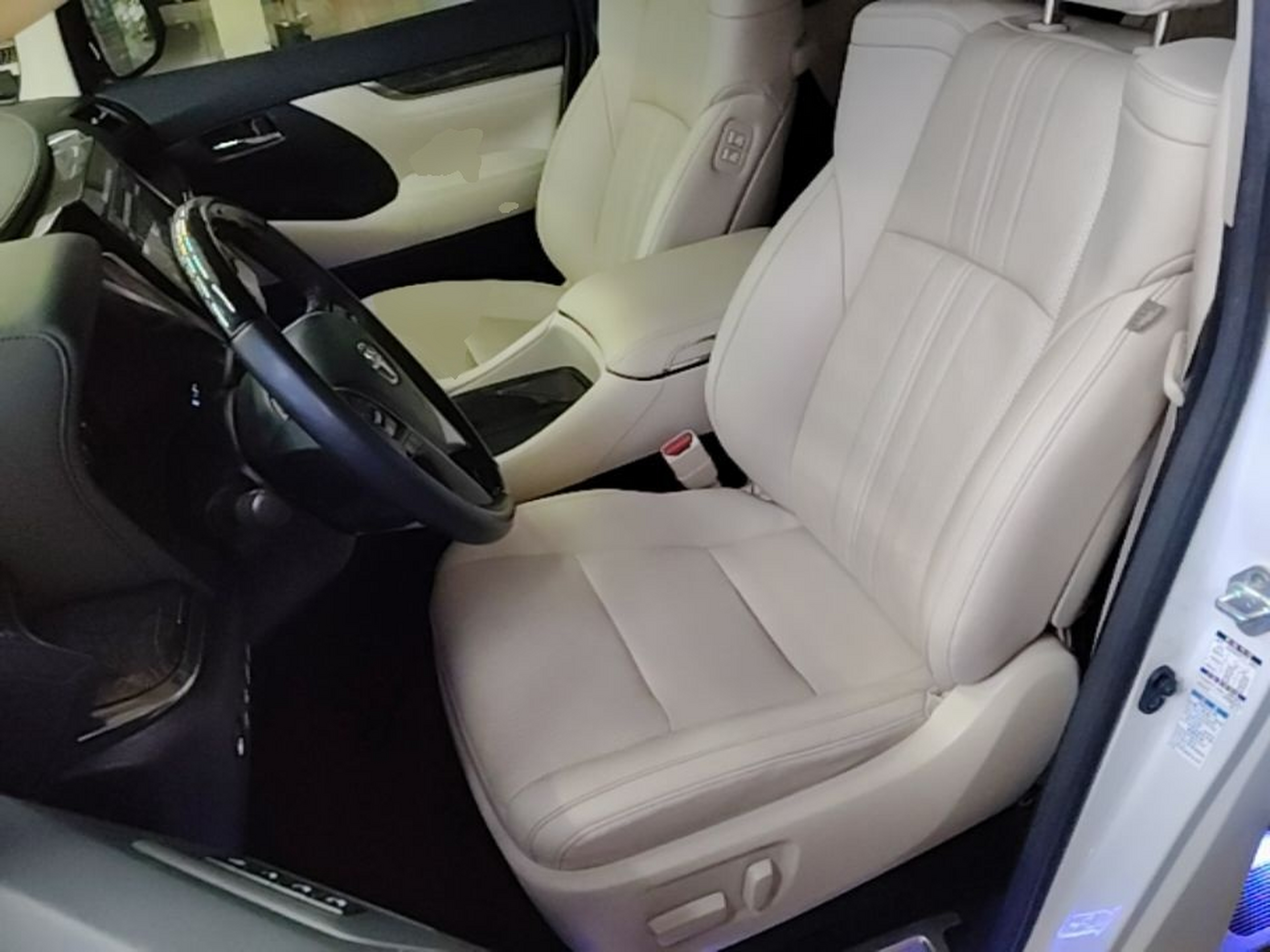 Interior delantero