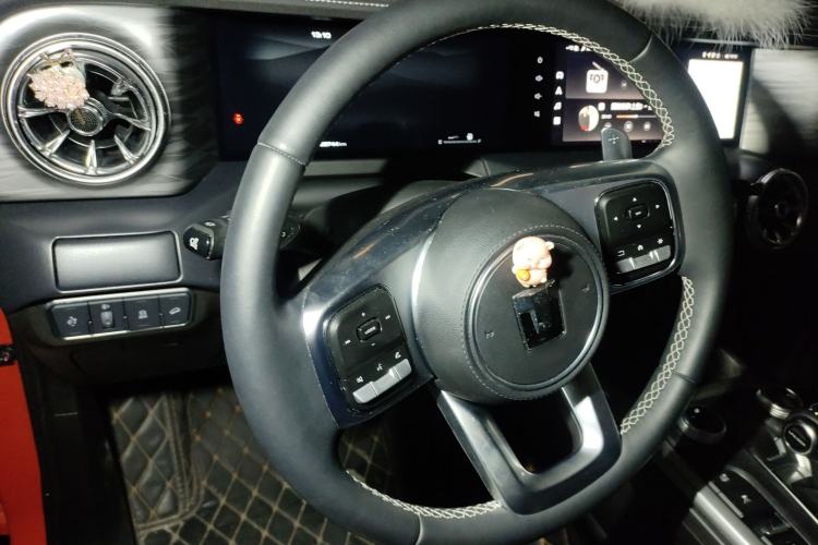 Used Tank 300 2024 2.0T Conqueror
