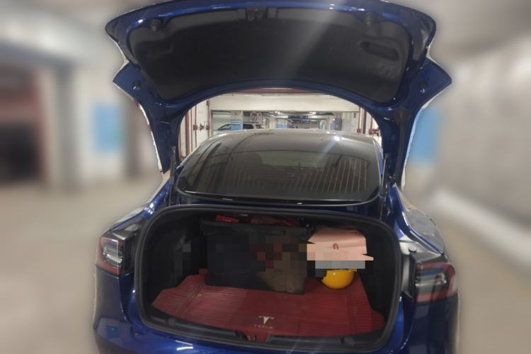 Used Tesla Model 3 2020 Standard Range Rear-Wheel Drive Upgraded Version