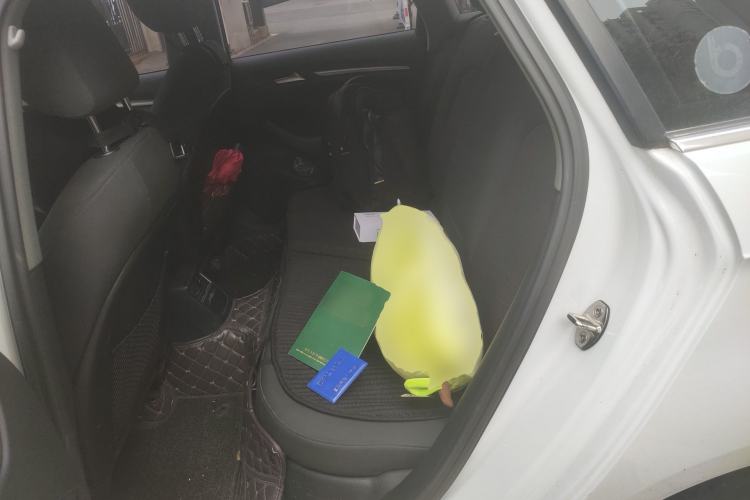 Used Audi A3 2018 30th Anniversary Edition Sportback 35 TFSI Ambition Model Left Rear Seat