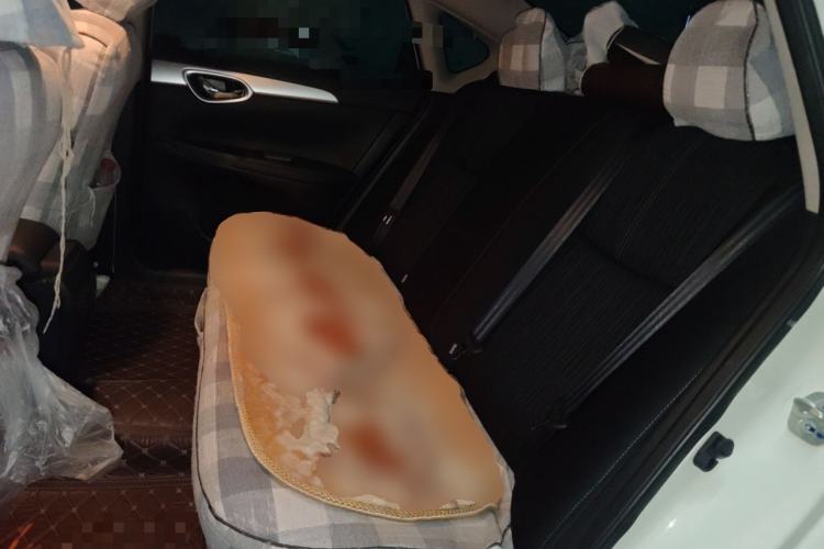 Used Nissan Sylphy 2024 Classic 1.6XE CVT Comfort Edition
