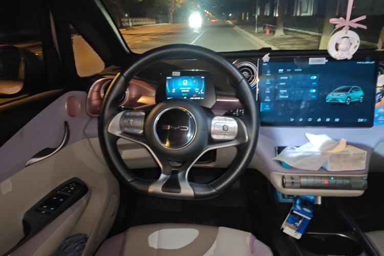 Used BYD Dolphin 2021 405 km Fashion Edition
