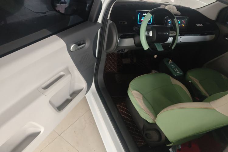 Used Qiyuan Lumin 2023 205km Xiangqin Version
