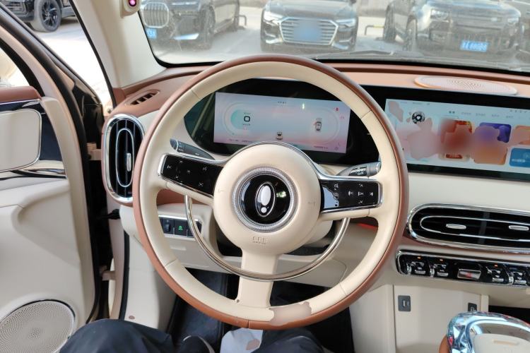 Used ORA Ballet Cat 2023 401 km Luxury Version
