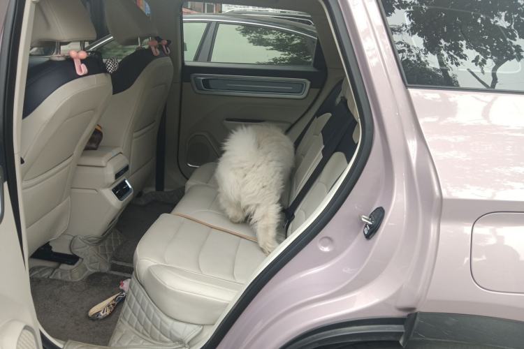 Used Geely Auto icon 2025 Linglong 1.5TD Ruyi Edition Left Rear Seat