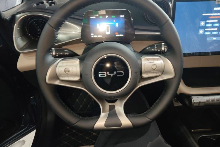 Used BYD Dolphin 2025 420km Free Edition
