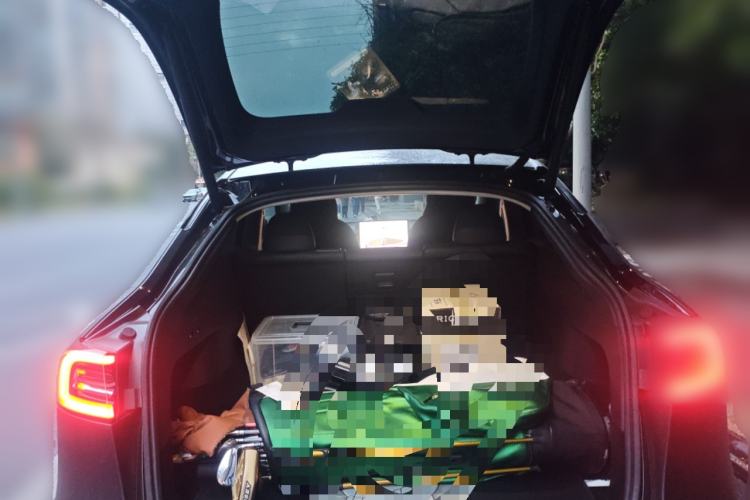 Used Tesla Model Y 2022 Rear-Wheel-Drive Version
