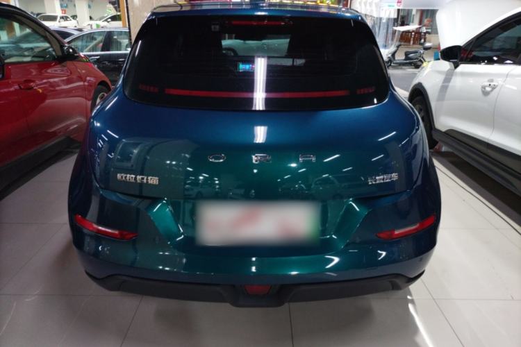 Used ORA Good Cat 2024 401 km Luxury Version