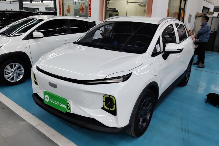 Used Geometry E Firefly 2022 320KM Cute Tiger 4-Seater
