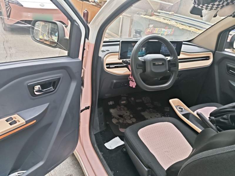 Used BAW Yuanbao 2022 Yue Meng Edition — 15