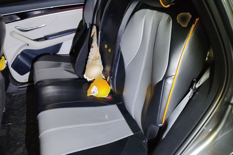 Used BYD Song PLUS New Energy 2021 DM-i 110KM Flagship PLUS
