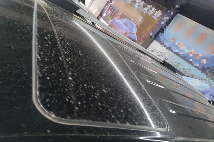 Used Tank 300 2023 City Edition 2.0T—Stylish as Ever Roof