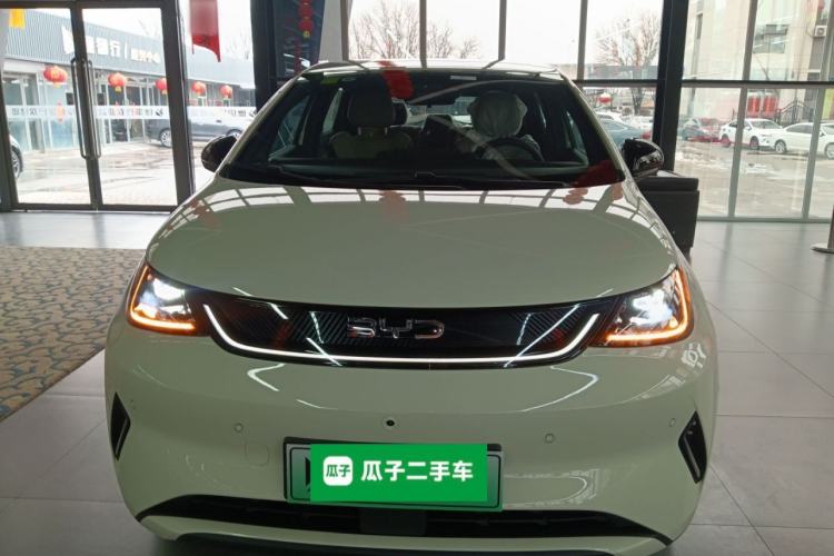 Used BYD Dolphin 2025 Smart Drive Version 420 km Freedom Edition
