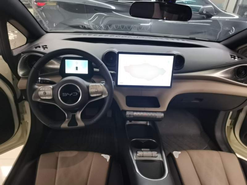 Used BYD Dolphin 2025 420km Free Edition — 9