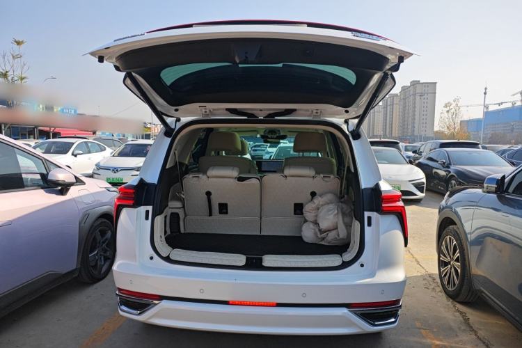 Used Wey Lanshan 2023 Four-Wheel Drive Ultra-Long Range Version
