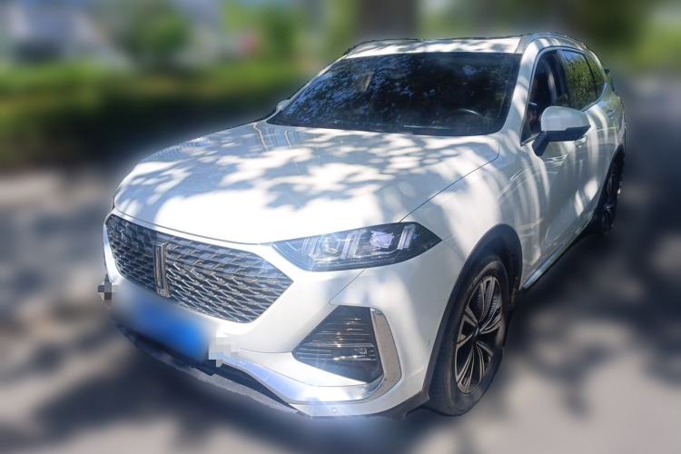 Used Wey Latte DHT 2022 1.5T DHT Extra-Large Cup