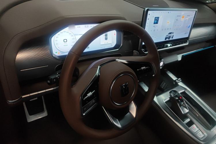 Used Tank 700 New Energy 2024 Hi4-T Extreme Edition Center Console