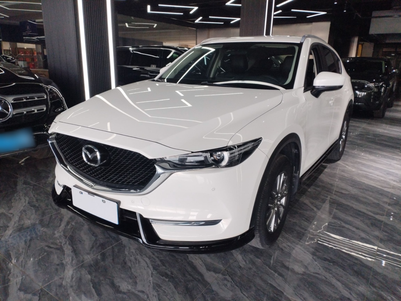 Parte inferior delantera