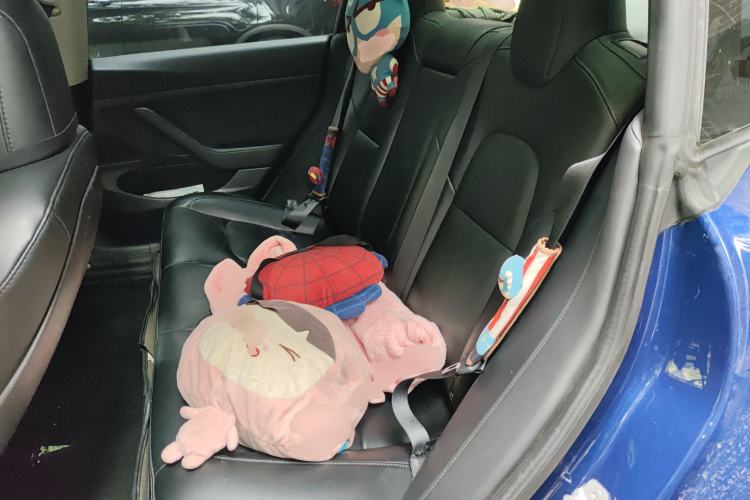 Used Tesla Model 3 2019 Standard Range Rear-Drive Upgraded Version