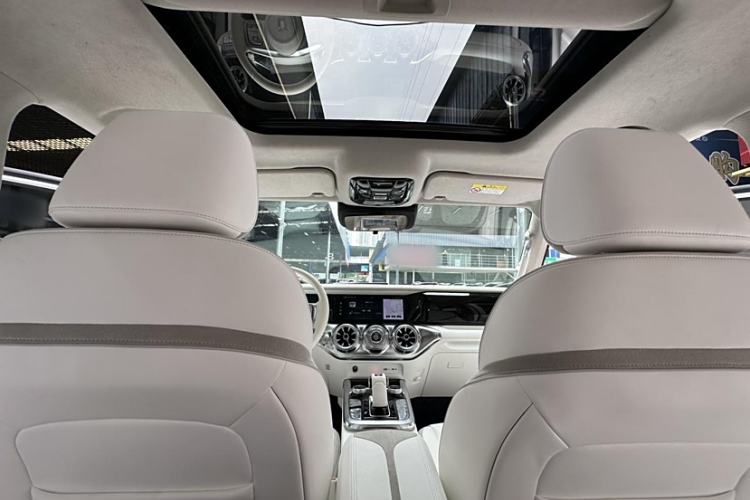 Used Cyberspace Tank 300 2021 2.0T Cyber Tank
