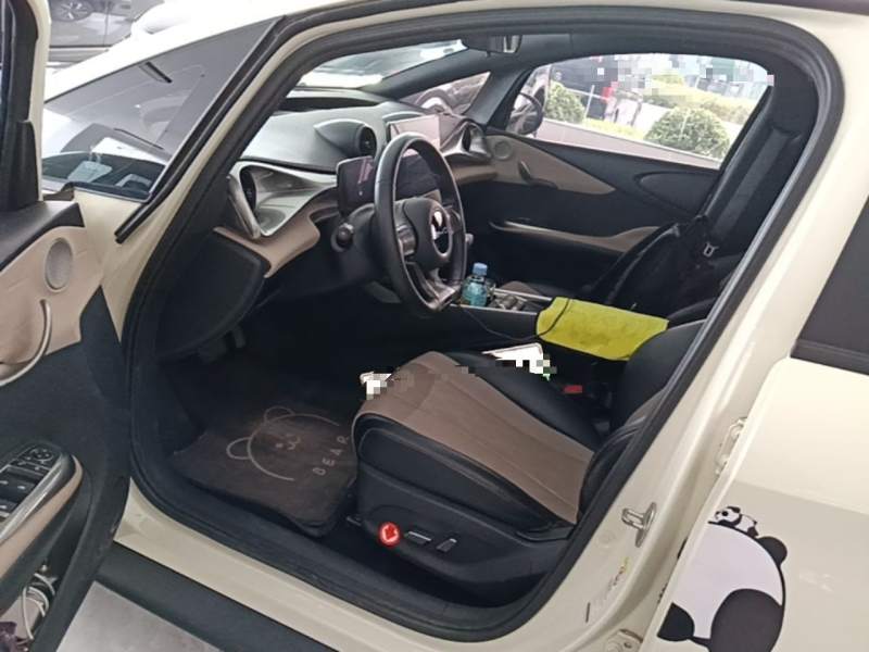 Used BYD Dolphin 2023 420 km Free Version — 15