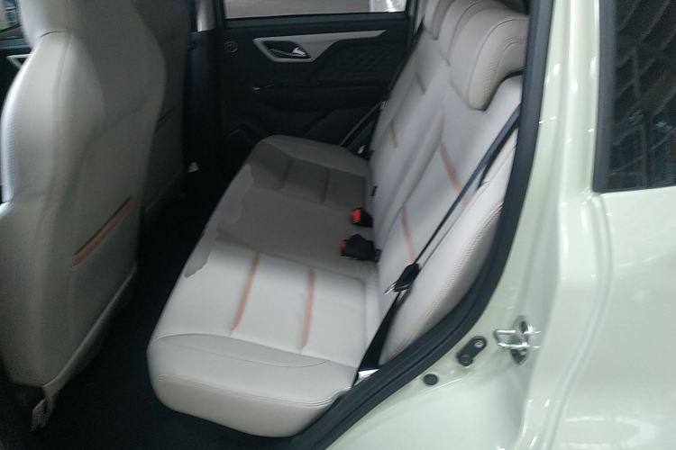 Used SOL E10X 2022 Flower Fairy Style Baby's Breath
