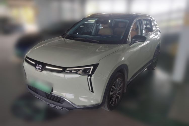 Used WM Motor W6 2021 520km PRO All-Round Edition