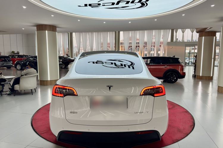 Used Tesla Model Y 2021 Standard Range Rear-Wheel Drive Version
