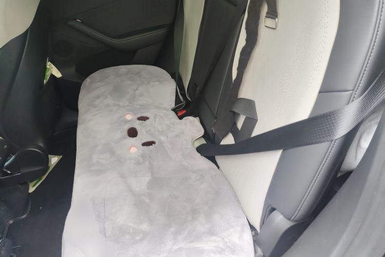 Used Tesla Model Y 2024 Rear-Wheel-Drive Version Left Rear Seat