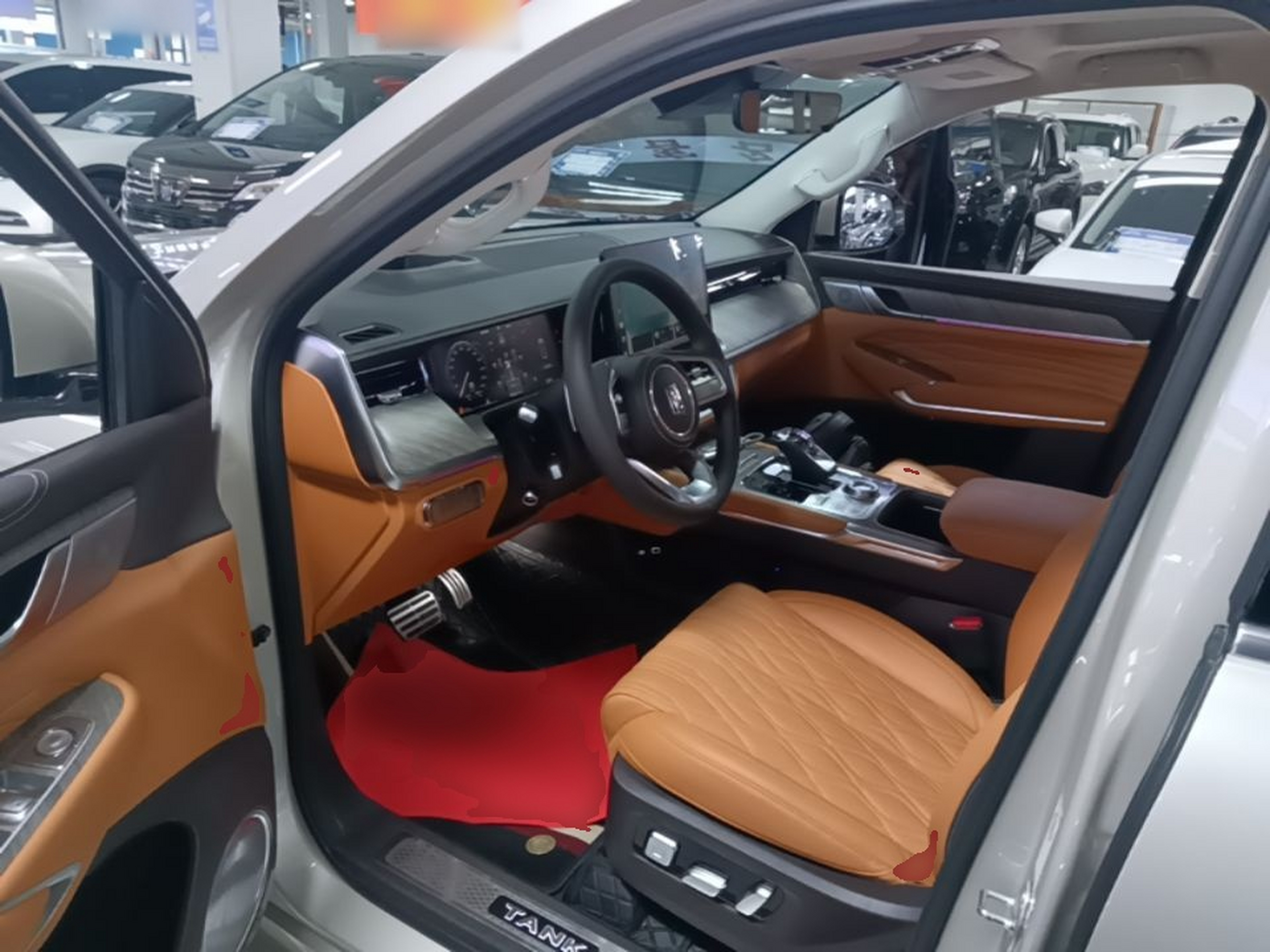 Interior delantero