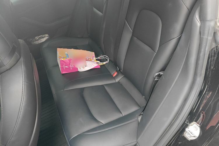 Used Tesla Model 3 2022 Rear-Wheel-Drive Version
