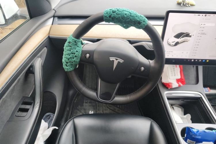 Used Tesla Model Y 2021 Standard Range Rear-Wheel Drive Version Steering Wheel