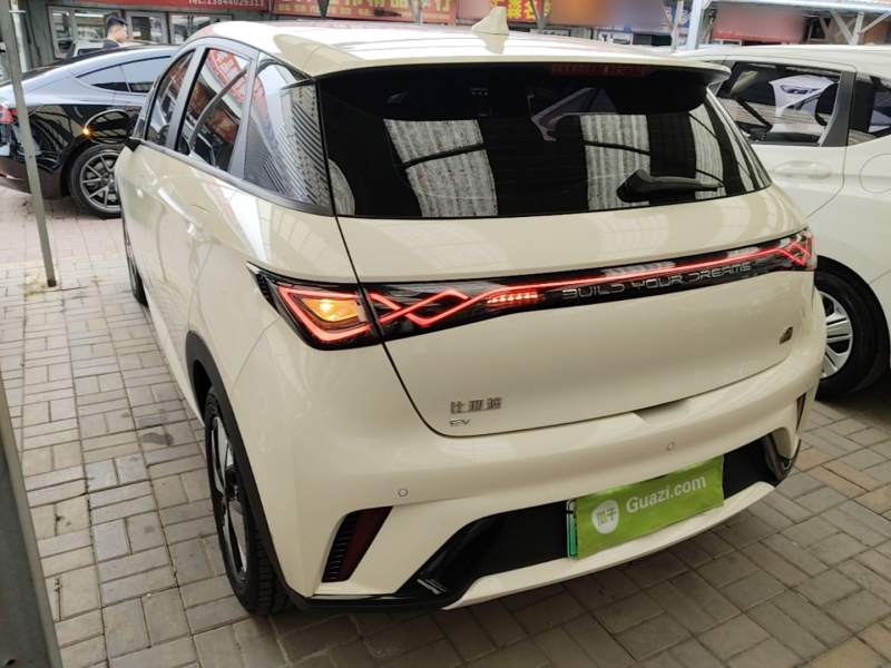 Used BYD Dolphin 2023 420 km Fashion Edition — 4