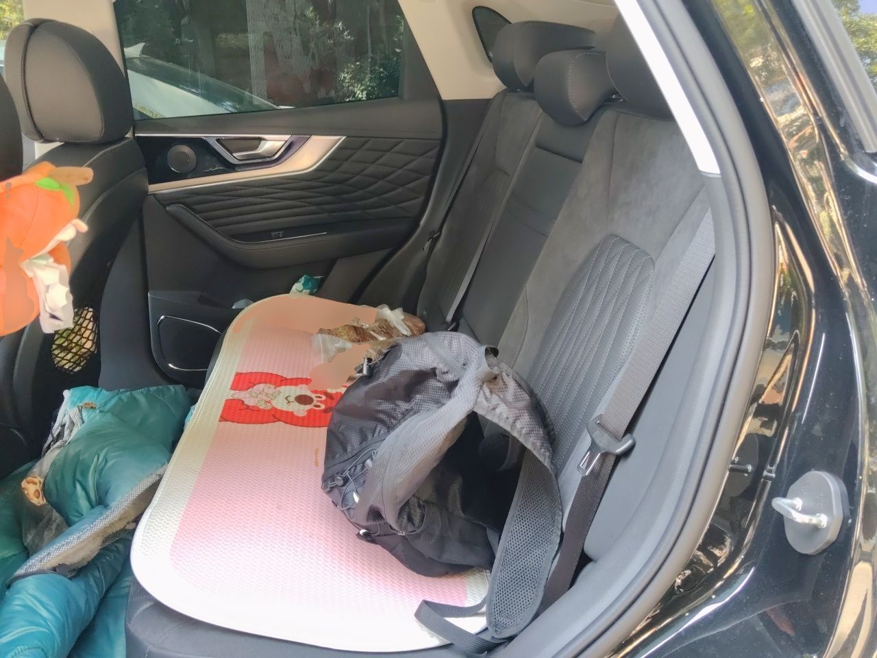 Hongqi HS5 2022 2.0T Smart Connect Flagship All-Wheel-Drive Version - Chinese Trim Xiang — снимка 17