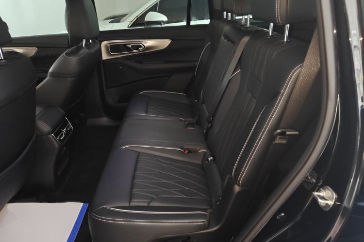 Used GAC Trumpchi GS8 2025 Linghang Series 2.0 TGDI Two-Wheel-Drive Luxury Edition 5 Seats
