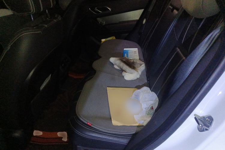 Used Land Rover Range Rover Velar 2018 P250 S