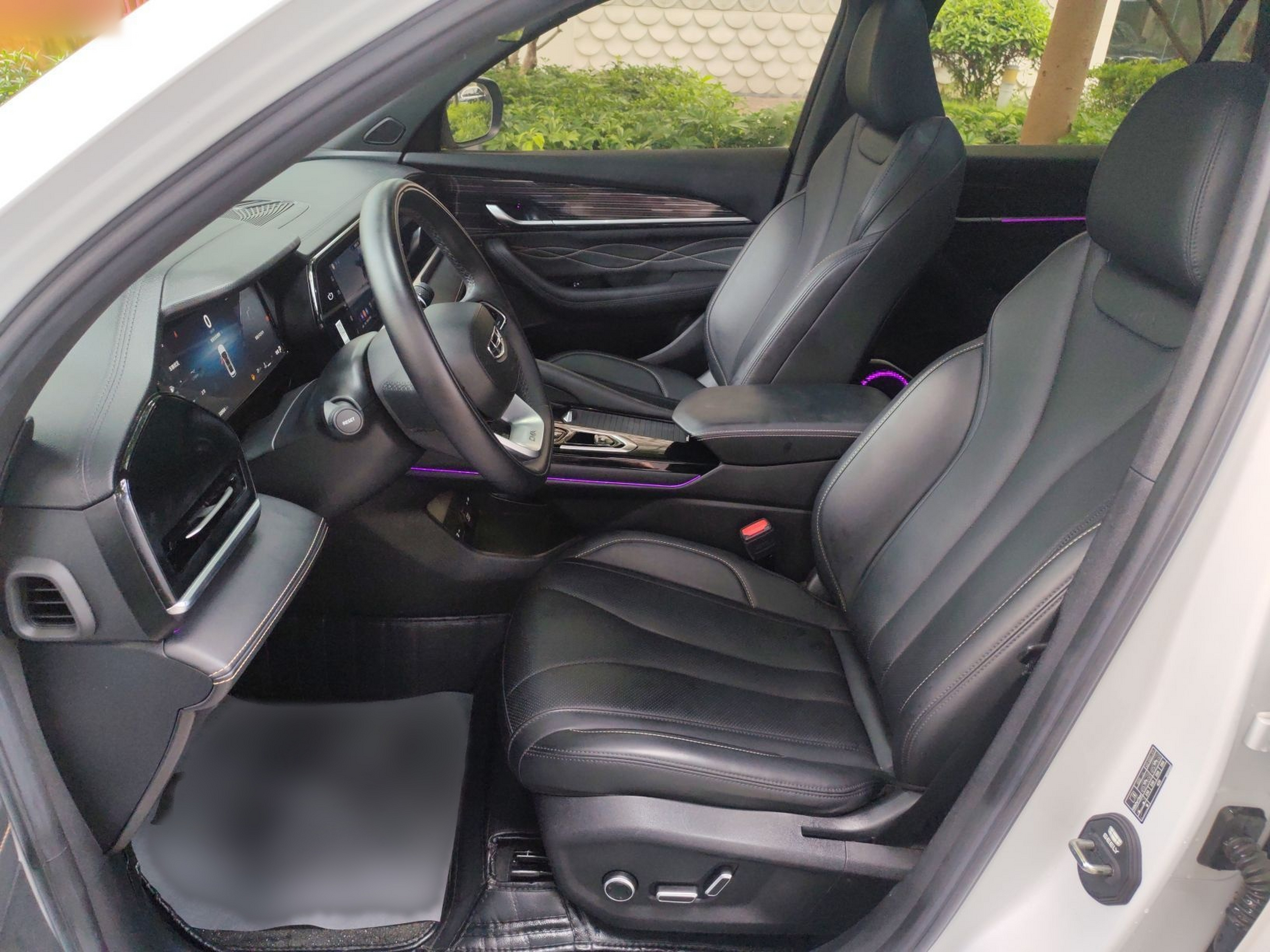 Interior delantero
