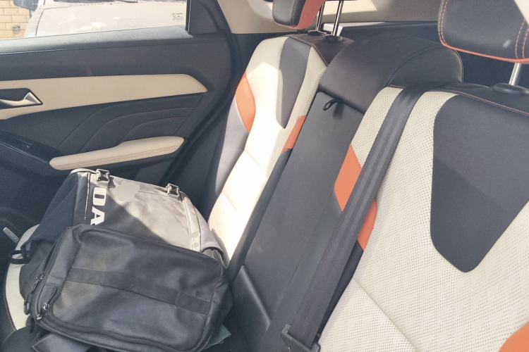 Used Haval LHERY 2021 High-Performance Version 1.5T Golden Rabbit Left Rear Seat