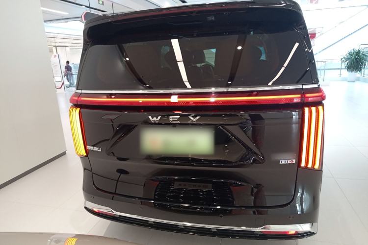 Used Wey Gaoshan 2023 Four-Wheel-Drive Executive Extended Version