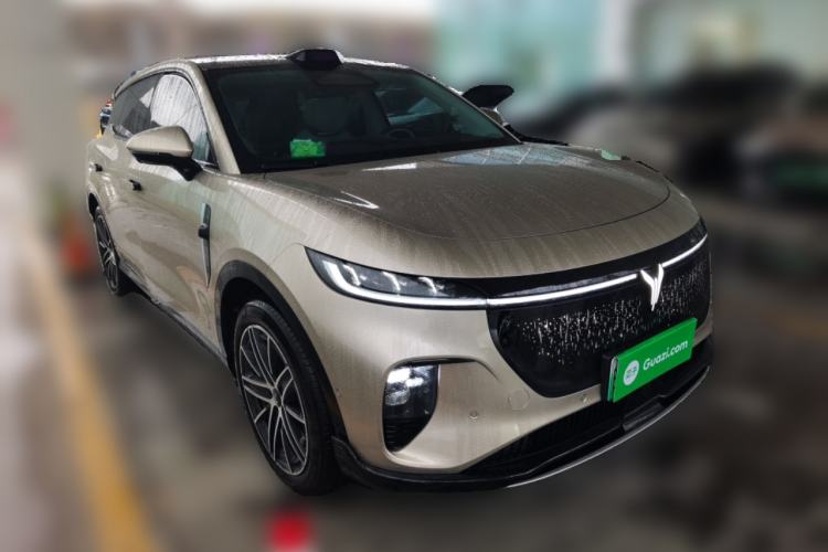 Used VOYAH COURAGE 2025 Model Rear-Drive Qiankun Edition