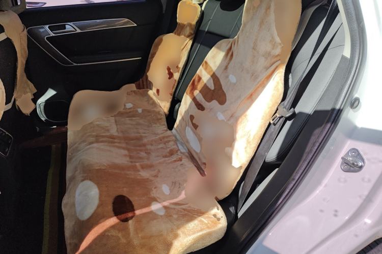 Used Haval H6 Coupe 2016 Blue Label 1.5T Manual Two-Wheel Drive Urban Model
