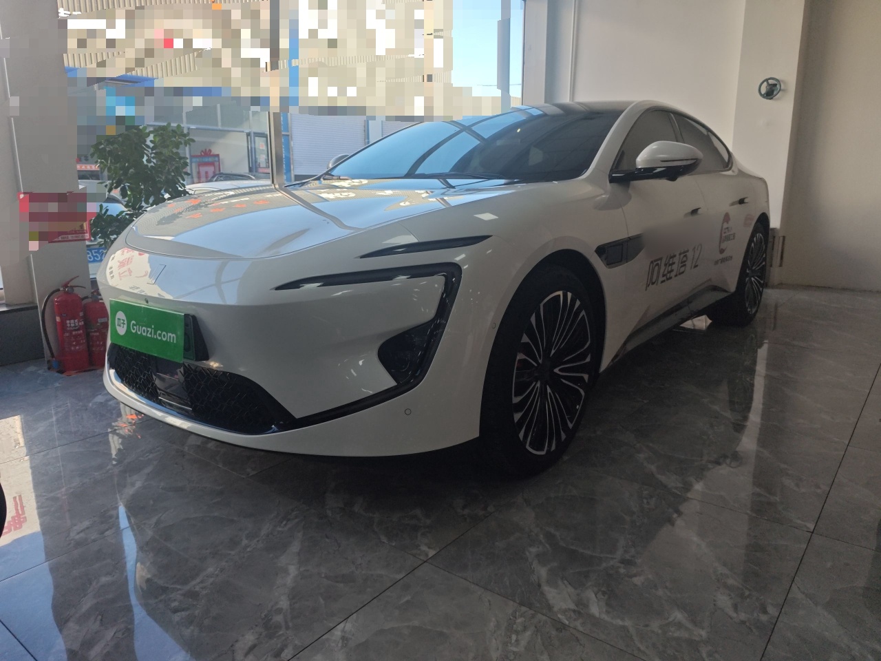 Parte inferior delantera