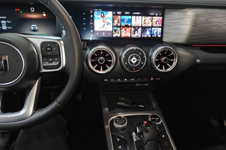 Used Tank 300 2024 2.0T Crosser
