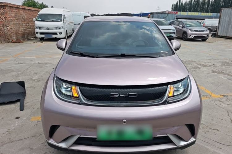 Used BYD Dolphin 2023 420 km Free Version