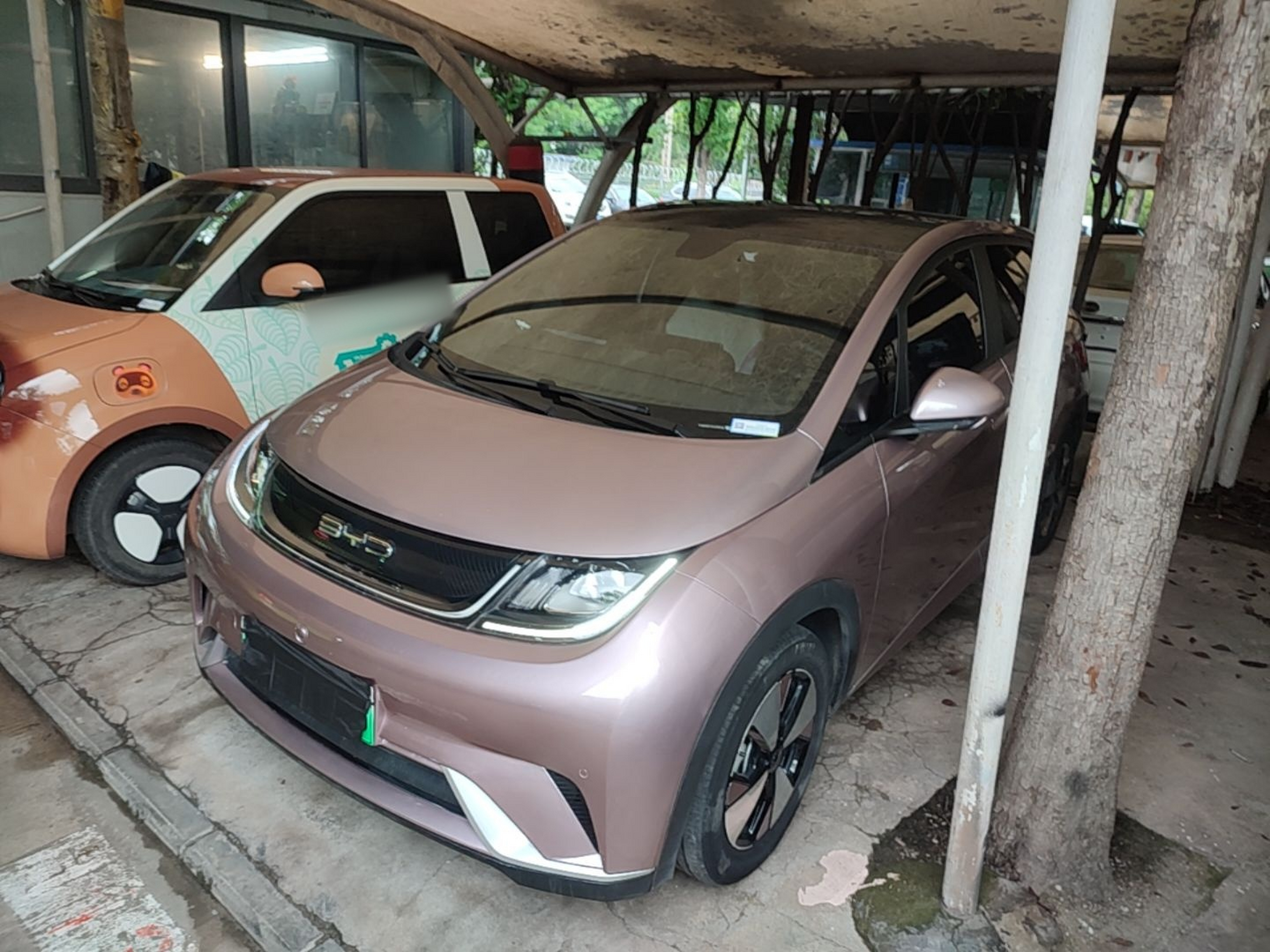 Under Front Bumper