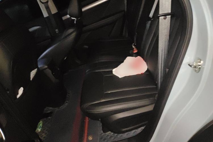 Used Wuling Asta 2021 1.5T CVT Star曜 Edition Left Rear Seat