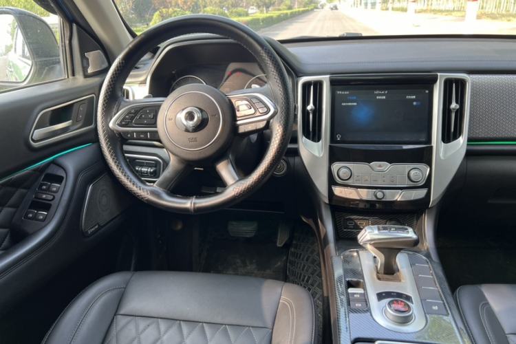 Used Great Wall Poer 2019 2.0T Automatic Gasoline Two-Wheel Drive Comfort Edition GW4C20B
