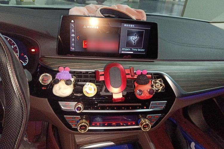 Used BMW 5 Series 2019 Facelifted 530Li Luxury Edition Premium Package
