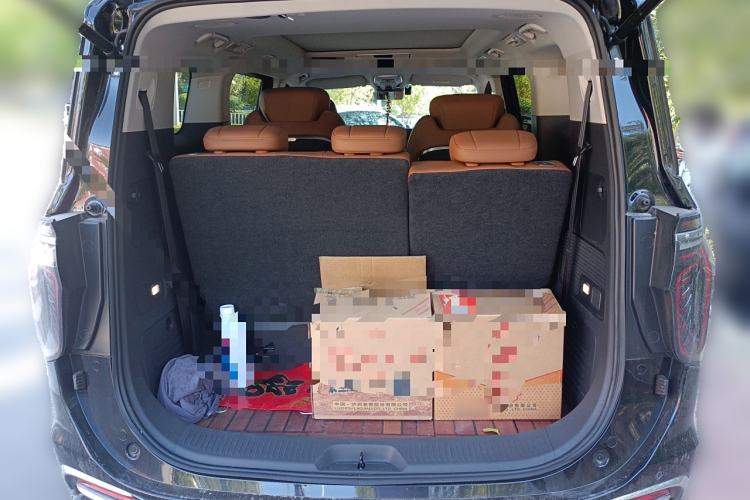 Used Hongqi HQ9 2023 2.0T Smart Connect Flagship Edition
